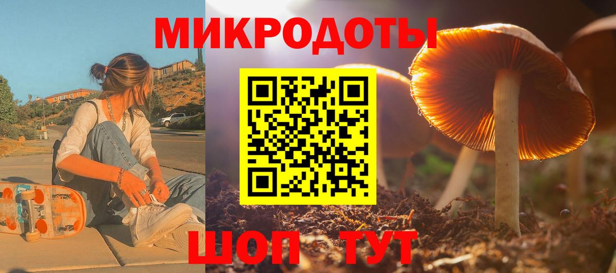 Курчалой  Псилоцибиновые грибы мухоморы  Псилоцибиновые грибы Cubensis  Вход с VPN 
