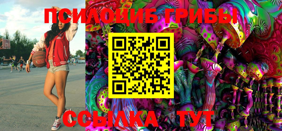 Псилоцибиновые грибы MAGIC MUSHROOMS Курчалой